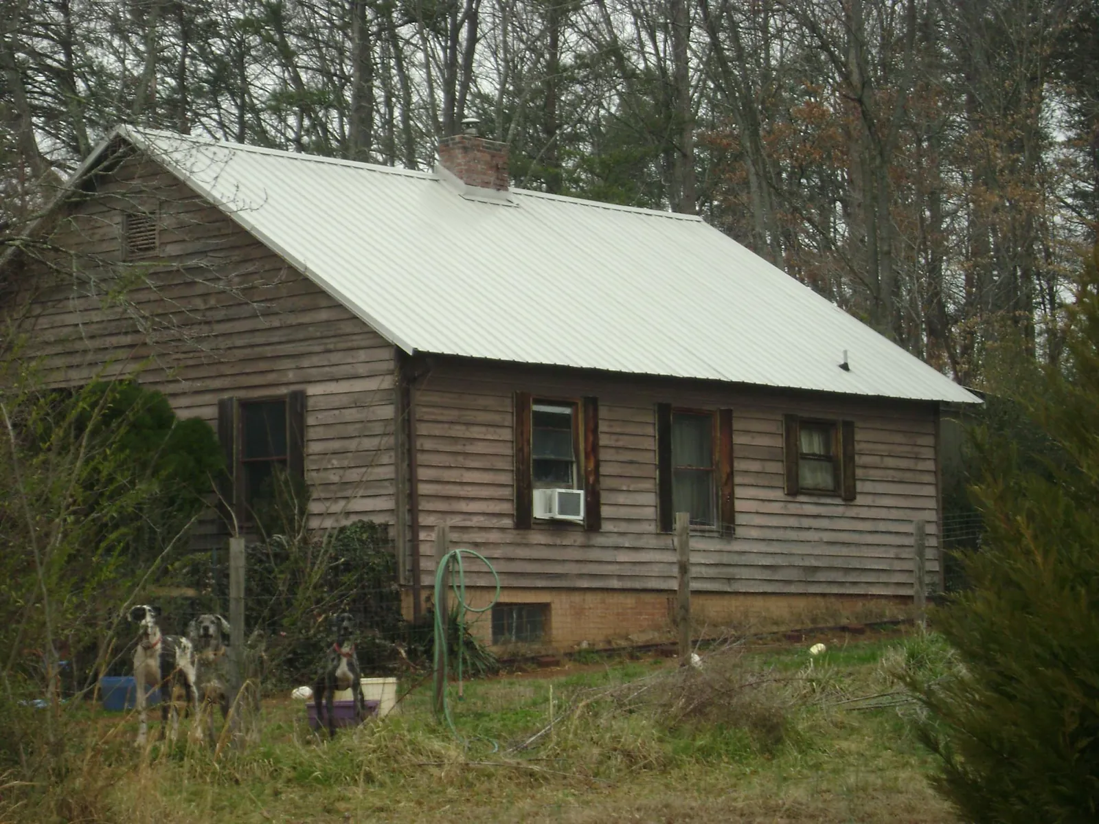 White metal roof on an old wood sided farmhouse, from a Asphalt Shingle Roof Repair job in Colstrip
